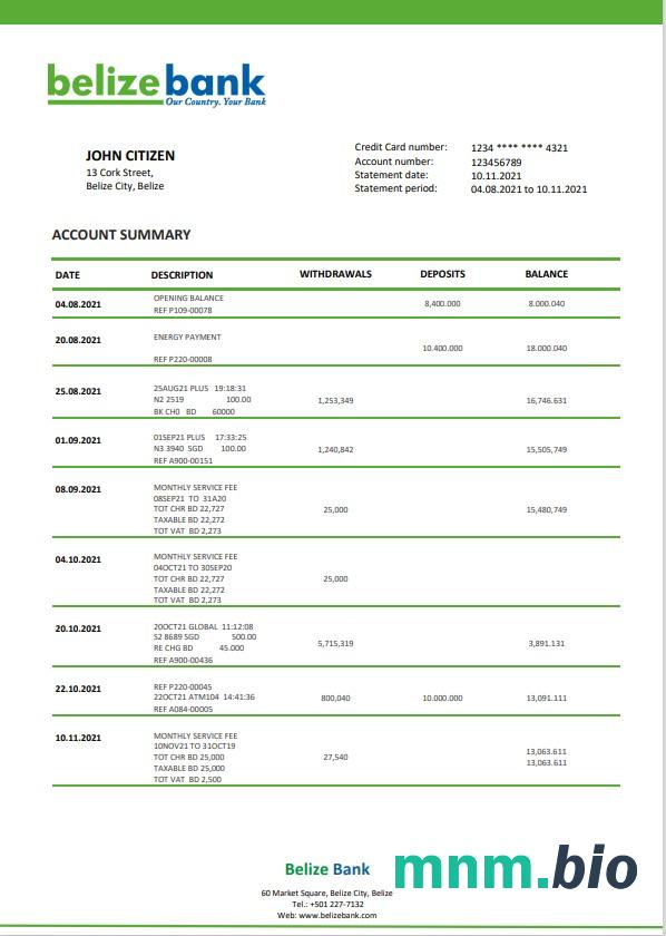 Szablon wyciągu bankowego Belize Commerzbank w programie Word i PDF